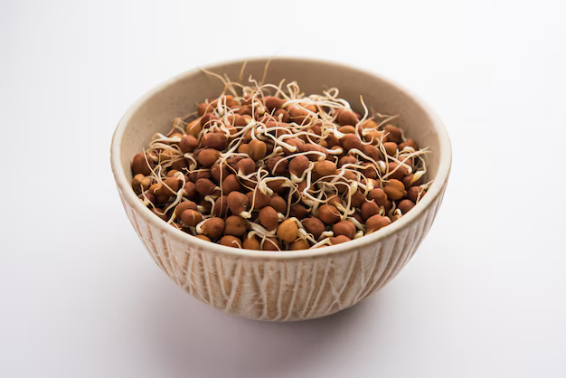 Sprouts (Chickpeas)